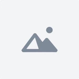 Logo Preview